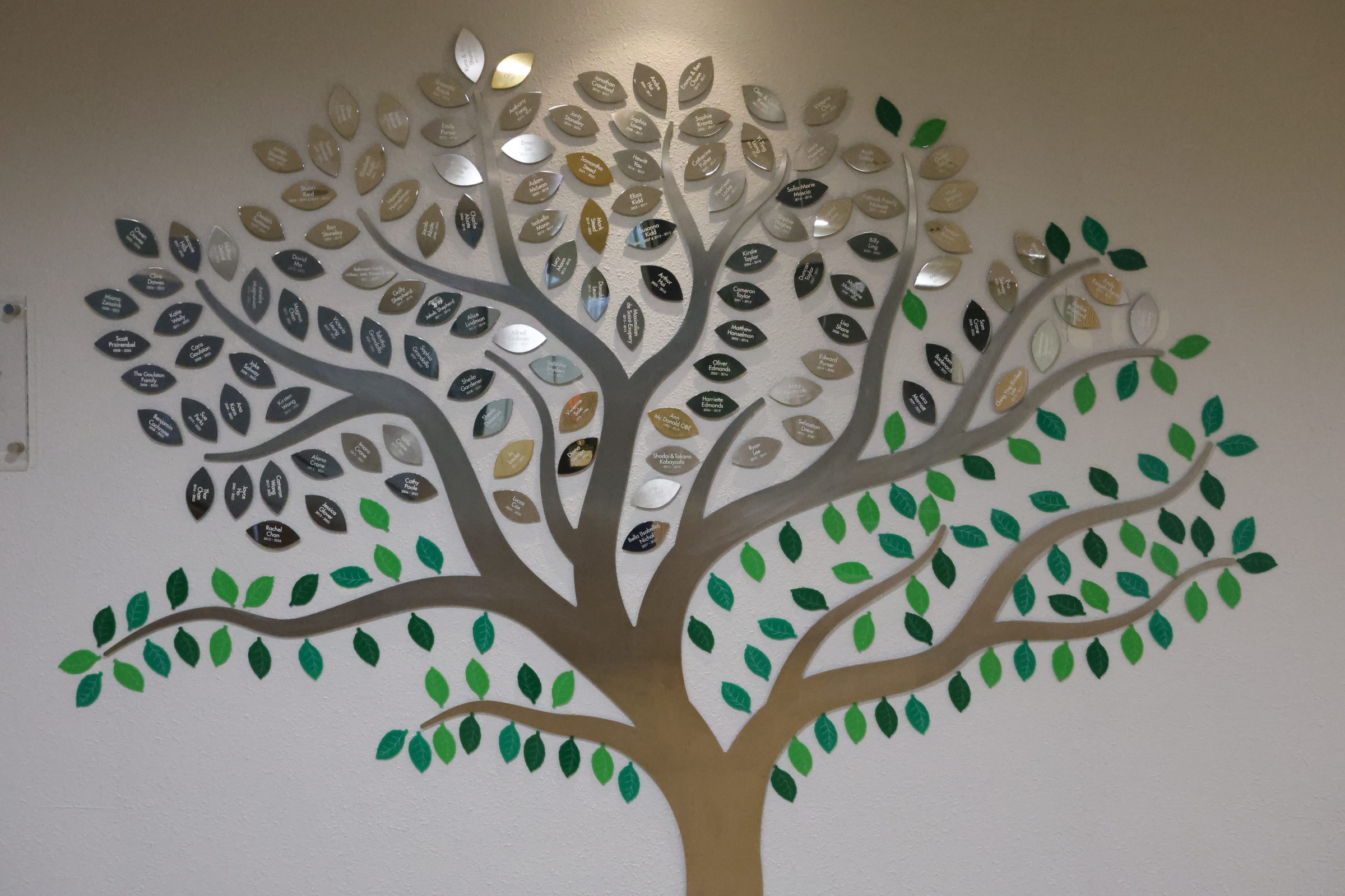 photo of the alumni tree